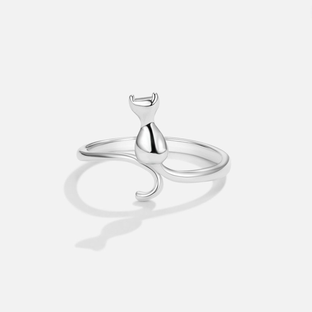 Pierre de nuit – Bague en argent