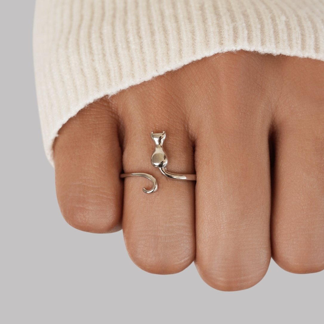 Pierre de nuit – Bague en argent